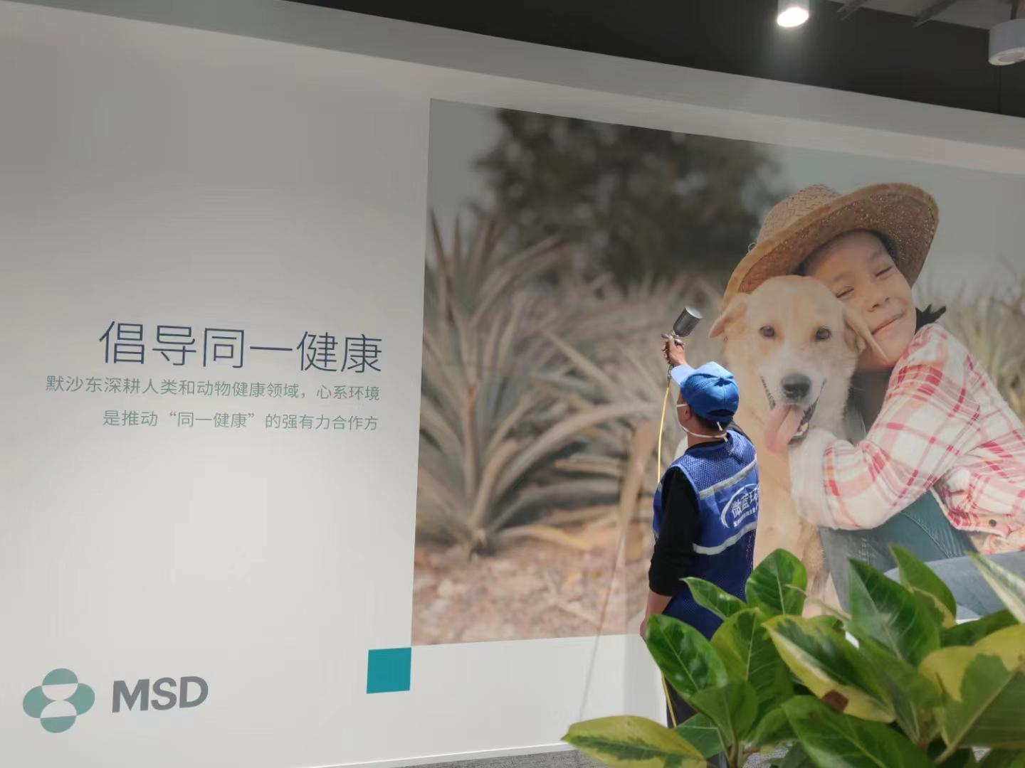 默沙东.png